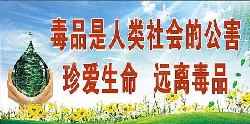 惠州市英华学校开展反邪教禁毒宣传活动